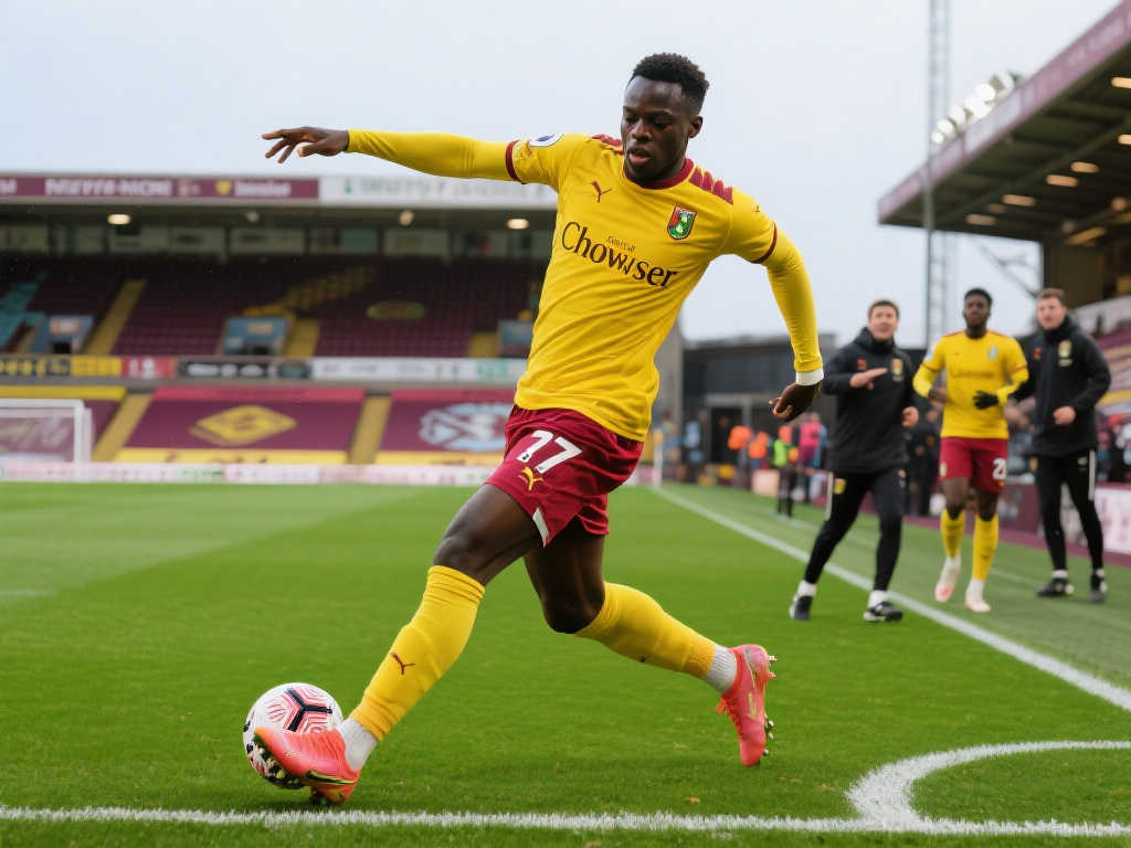 或是通过增 或是通过增