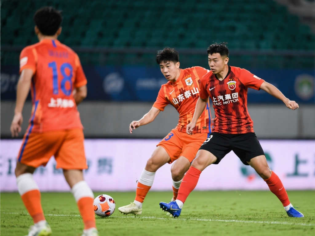 的分析强调 的分析强调